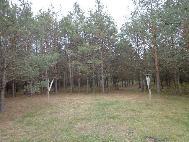 10172 West County Line Road Newaygo, MI 49337 - Photo 3 of 20 Additional Photo