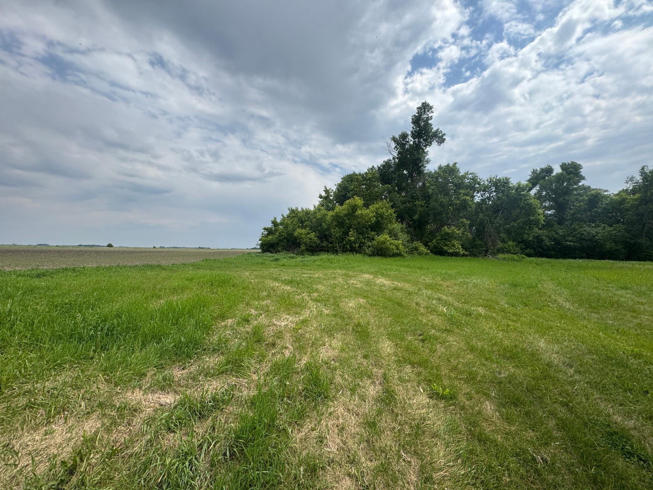 1265 170th Street Wolverton, MN 56594 - Photo 5 of 8