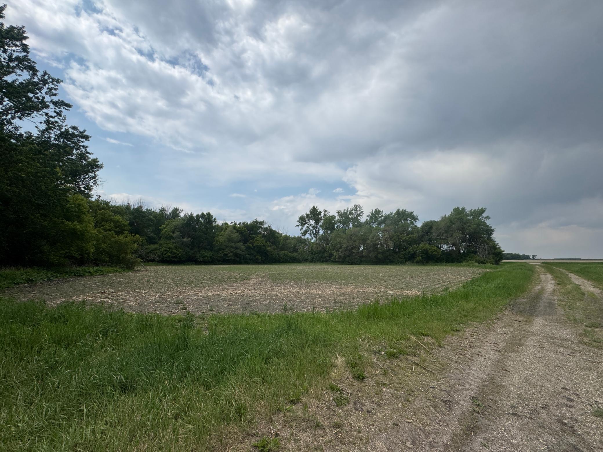 1265 170th Street Wolverton, MN 56594 - Photo 6 of 8