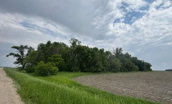 $150,000 | 1265 170th Street, Wolverton, MN 56594