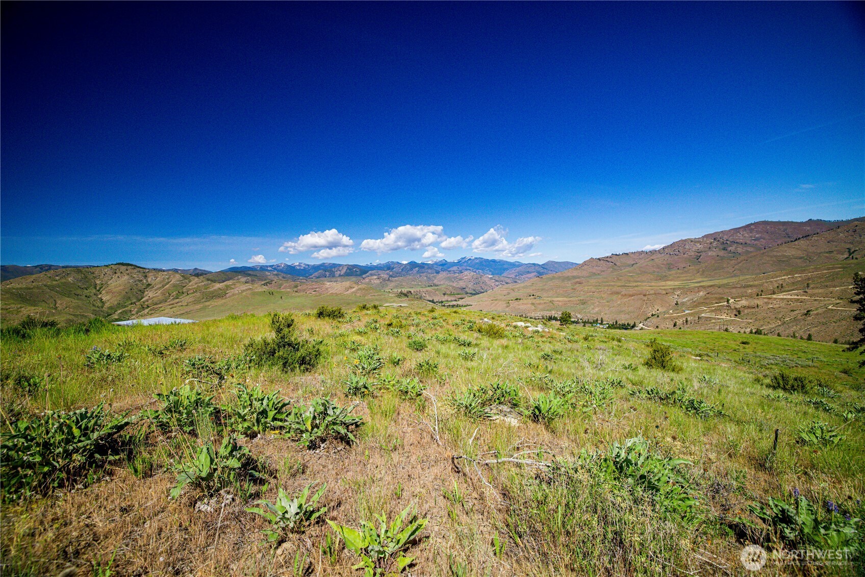 0 Sawtooth View Road Pateros, WA 98846 - Photo 5 of 10 a view of a lush green forest with mountains in the background