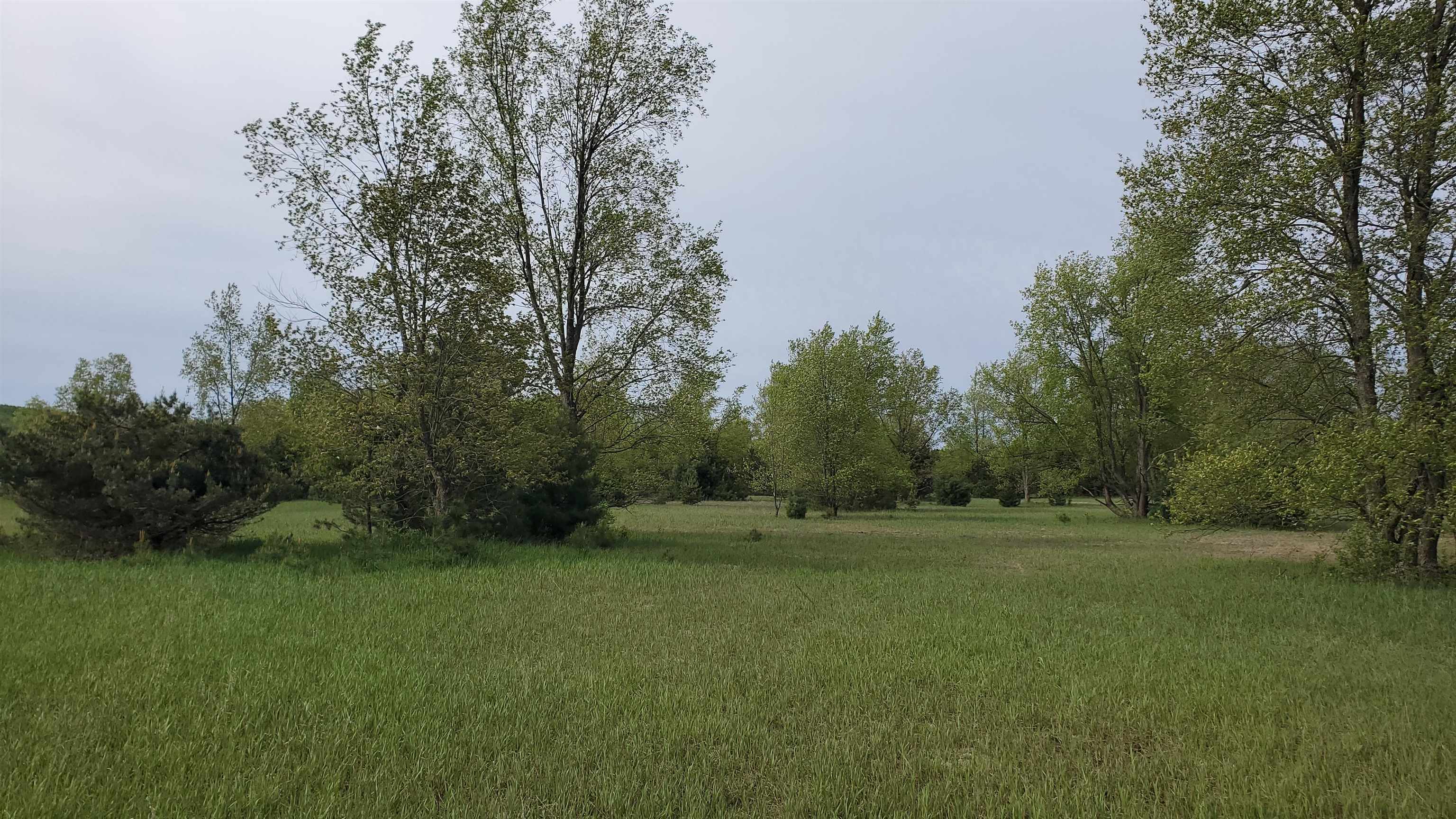 0 South Pioneer Road Beulah, MI 49617 - Photo 4 of 8