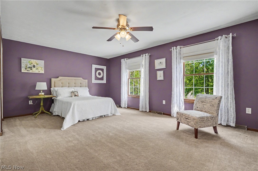 11003 Prouty Road Painesville, OH 44077 - Photo 35 of 50