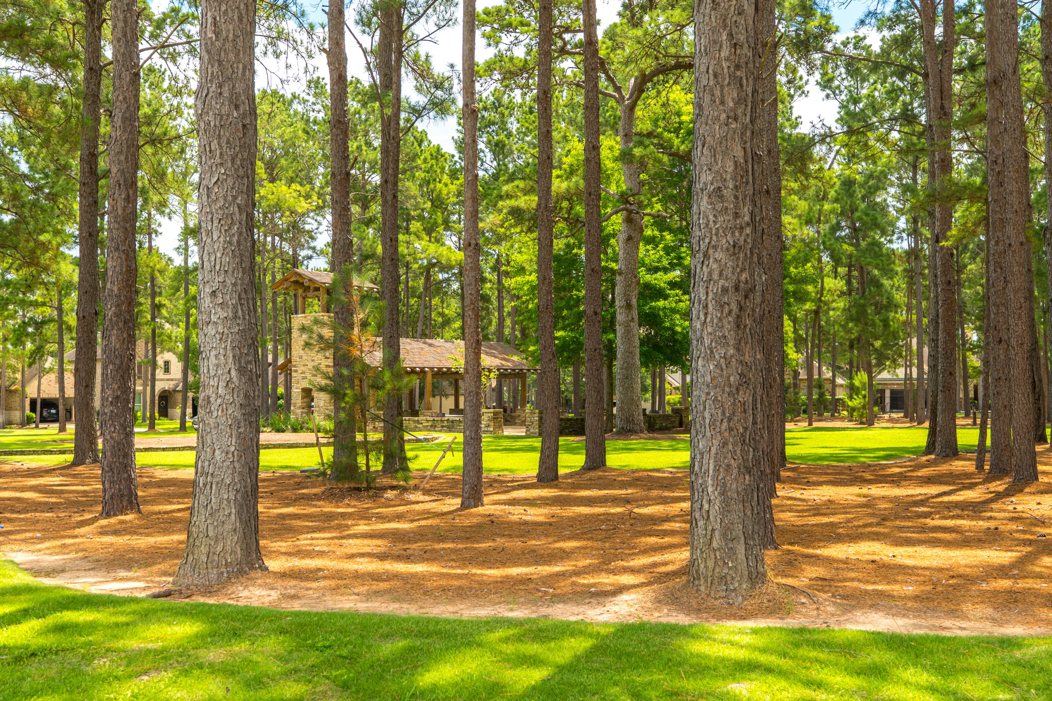 79 West Jagged Ridge Circle Spring, TX 77389 - Photo 44 of 50 This view captures the beautiful, tree-canopied green space that's part of this established community, with towering pines creating a serene, park-like atmosphere just steps from home. It's a peaceful reminder of the natural beauty that surrounds this neighborhood.