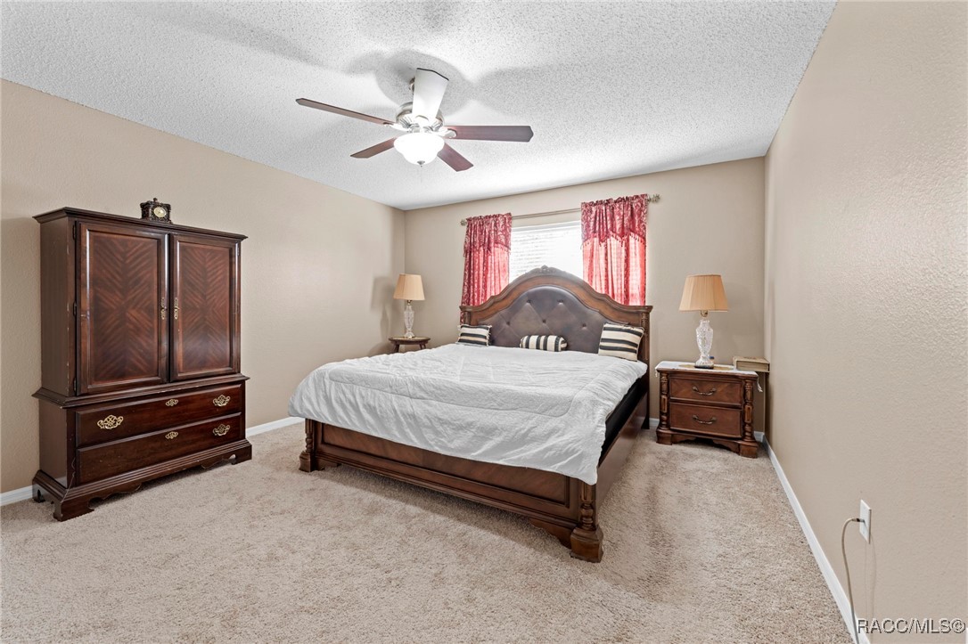 7319 Lagoon Road Spring Hill, FL 34606 - Photo 56 of 60