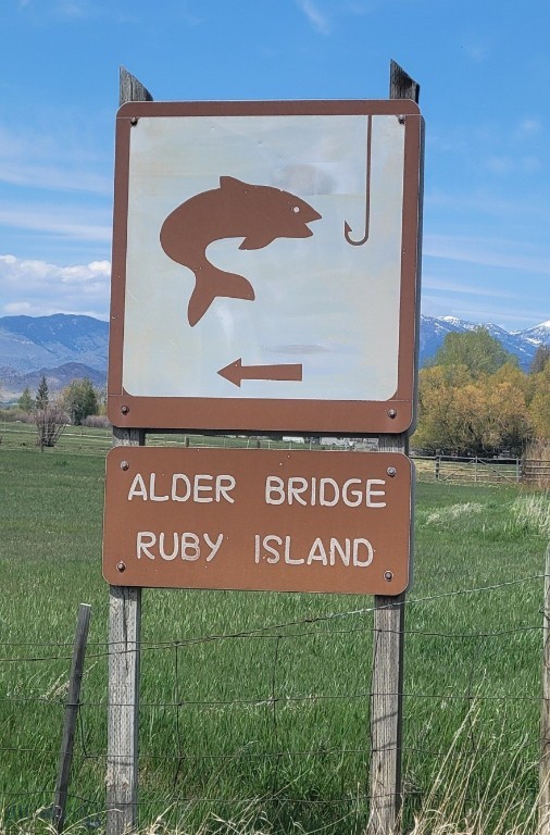 747 Upper Ruby Road Alder, MT 59710 - Photo 42 of 87 Gallery Image 42