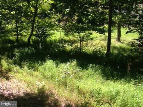 37315 Branchriver Road Purcellville, VA 20132 - Photo 1 of 7 View