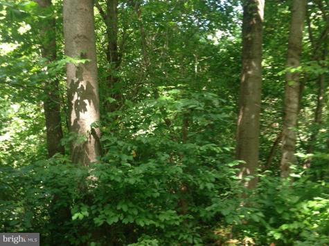 37315 Branchriver Road Purcellville, VA 20132 - Photo 3 of 7 View