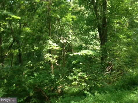 37315 Branchriver Road Purcellville, VA 20132 - Photo 5 of 7 View