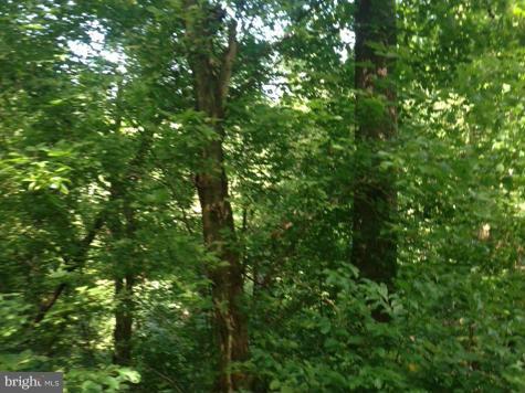 37315 Branchriver Road Purcellville, VA 20132 - Photo 7 of 7 View
