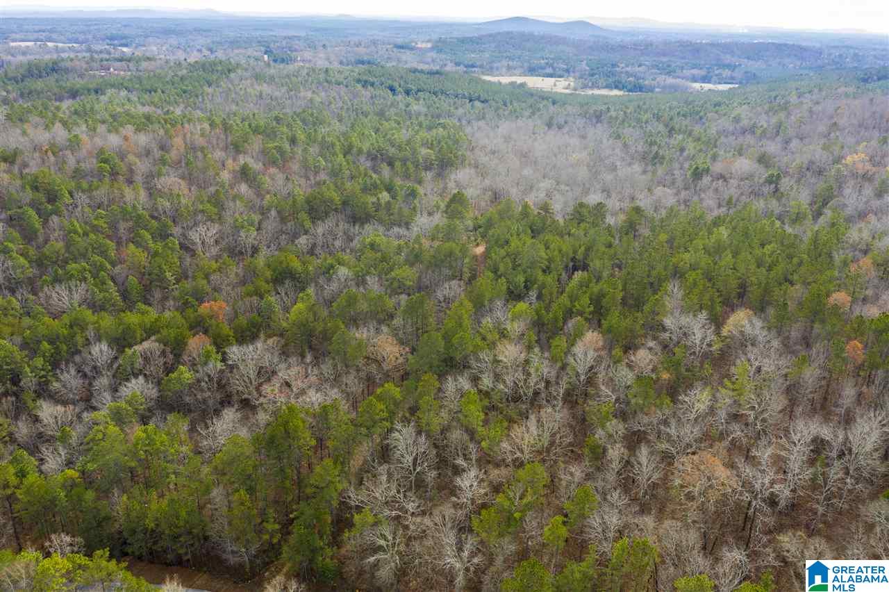 0 Constellation Avenue, Unit 1 Alpine, AL 35014 - Photo 26 of 34