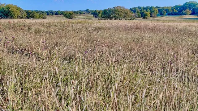 $319,000 | 469 Merritt Road, Forestburg, TX 76239