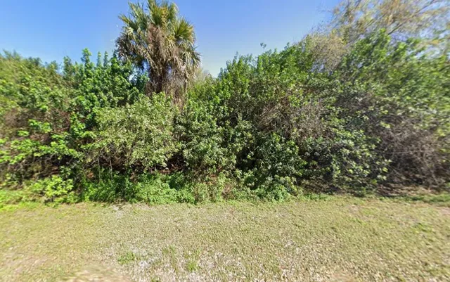 a view of a yard with a tree