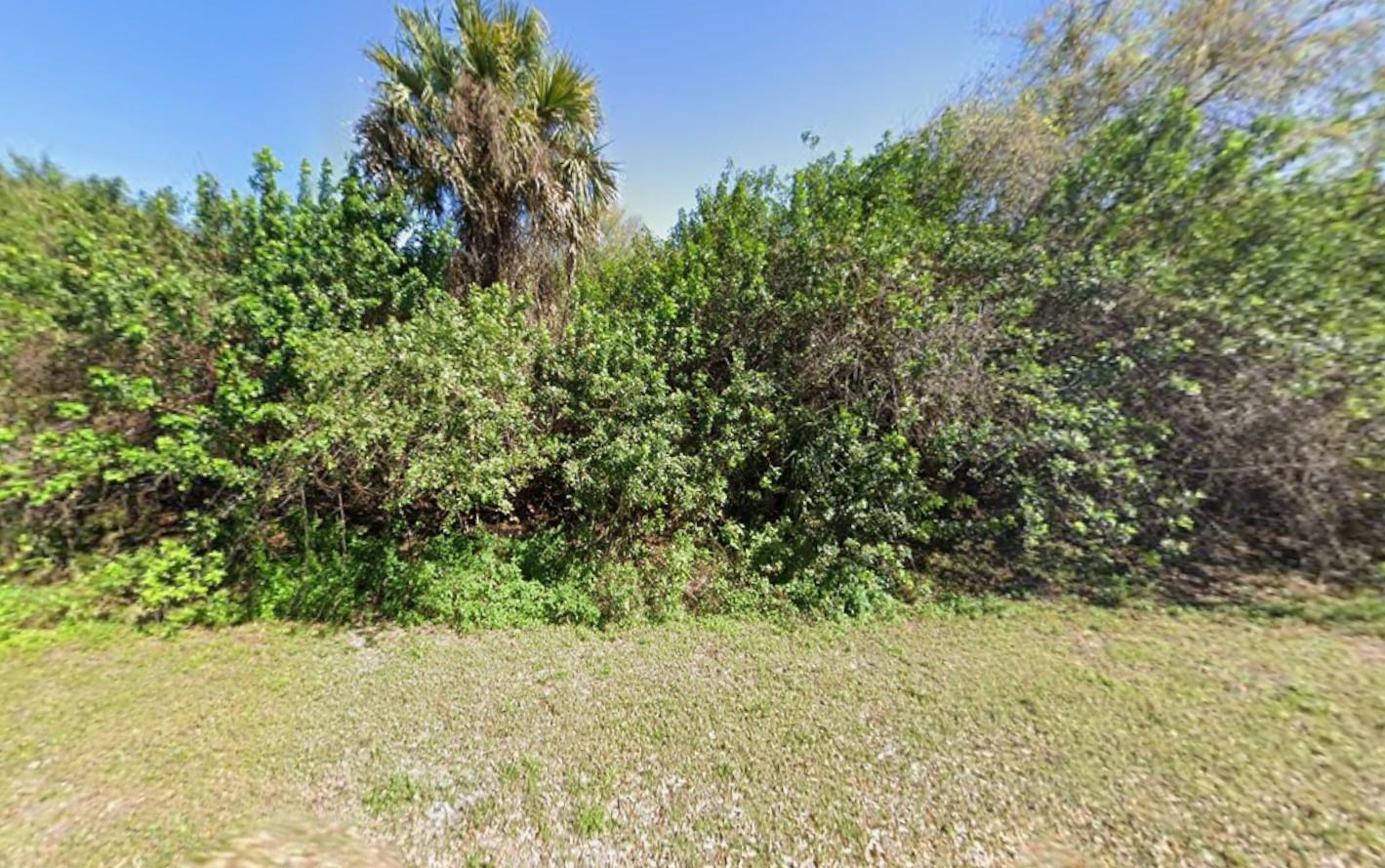 a view of a yard with a tree