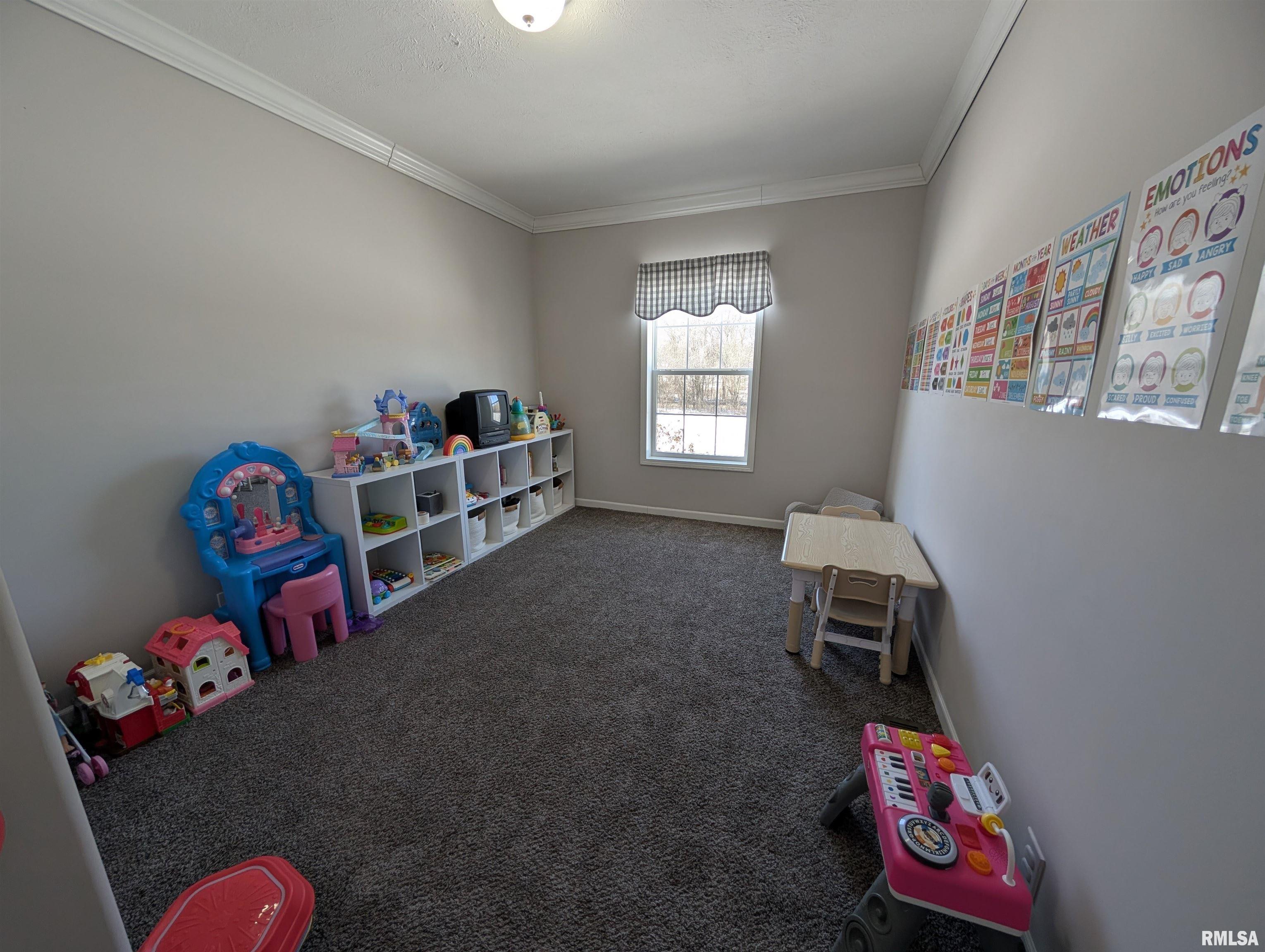 455 Indian Point Road Vienna, IL 62995 - Photo 39 of 47