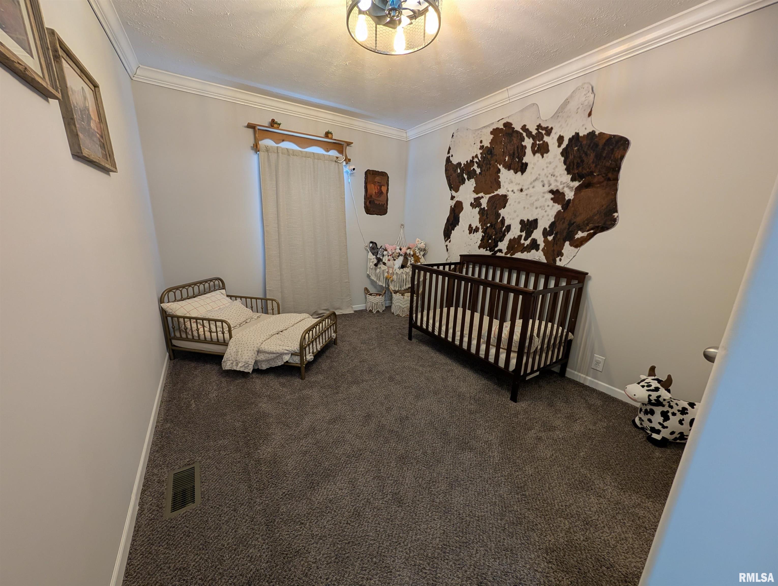 455 Indian Point Road Vienna, IL 62995 - Photo 40 of 47