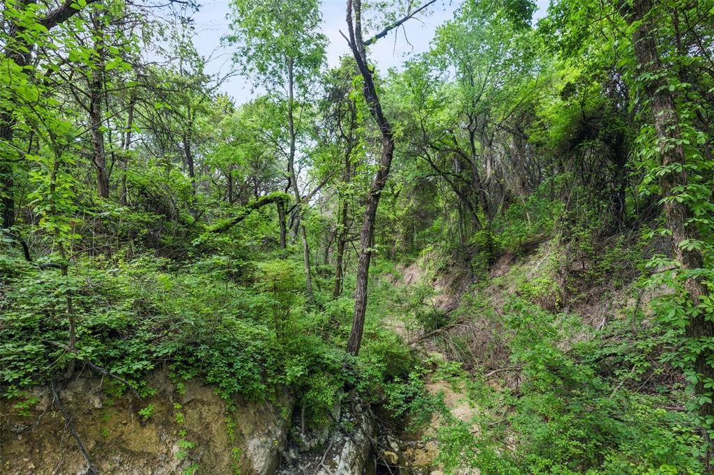 891 Mobley Road Cedar Hill, TX 75104 - Photo 13 of 19