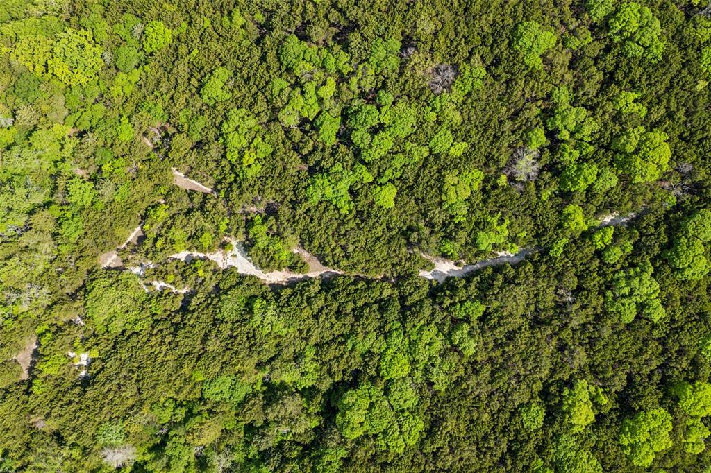 891 Mobley Road Cedar Hill, TX 75104 - Photo 9 of 19