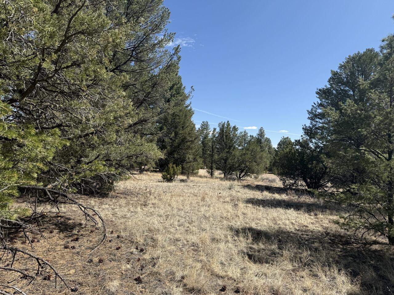 823 Timberlake Road Ramah, NM 87321 - Photo 20 of 47 Gallery Image 20