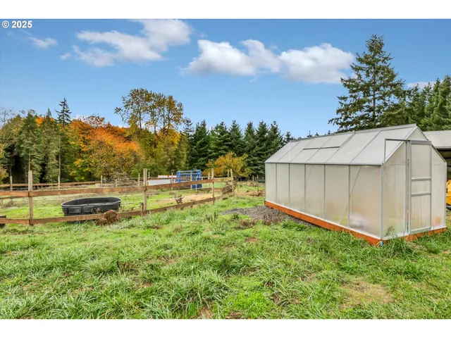 a view of a backyard