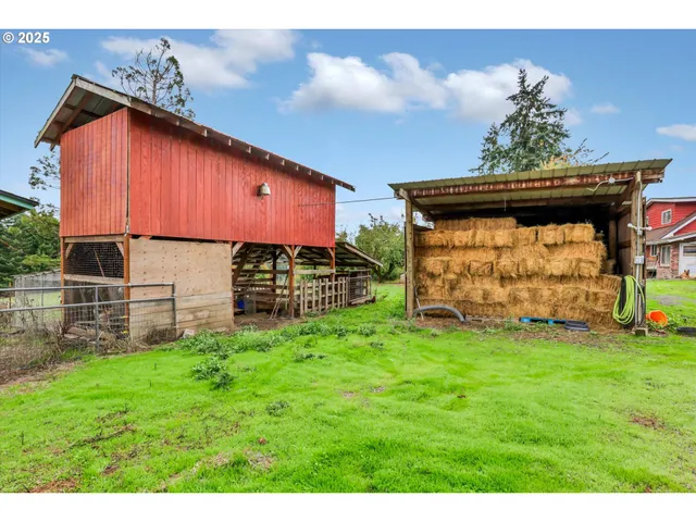 a view of a backyard with potted plants and a chair