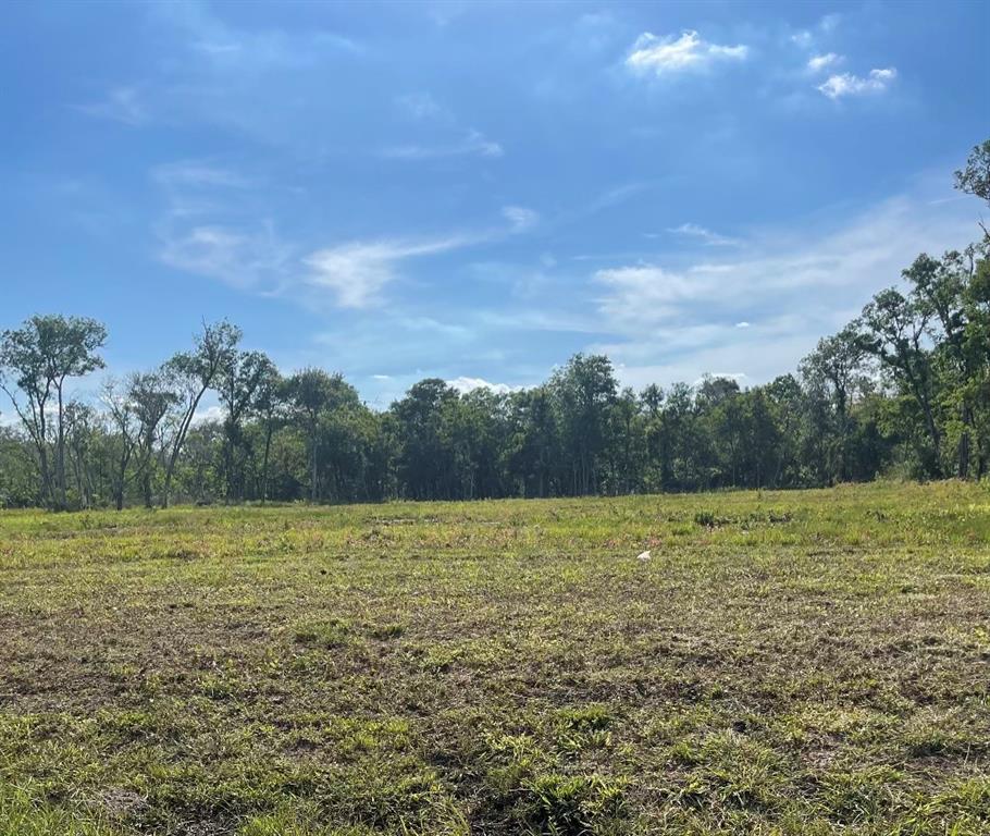 33418 Blue Marlin Drive, Richwood, TX 77515 Compass