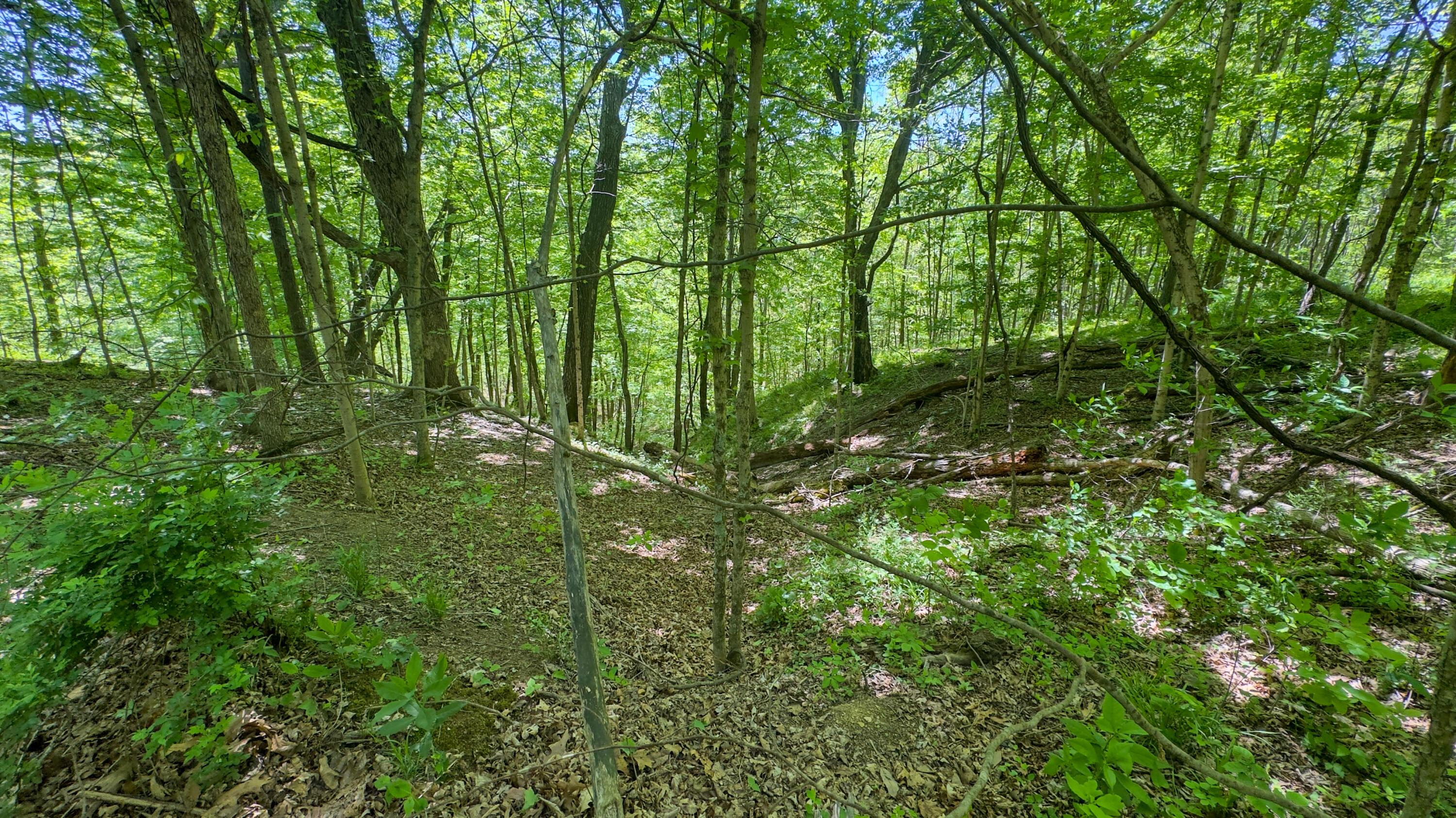 97 Bethel Road Patriot, OH 45658 - Photo 26 of 37 Woods1