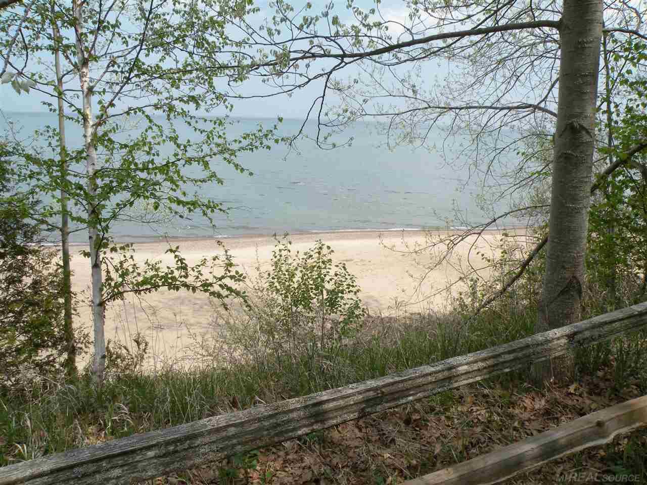 7186 County Farm Road Lexington, MI 48450 - Photo 14 of 14 31310106-13.JPG
