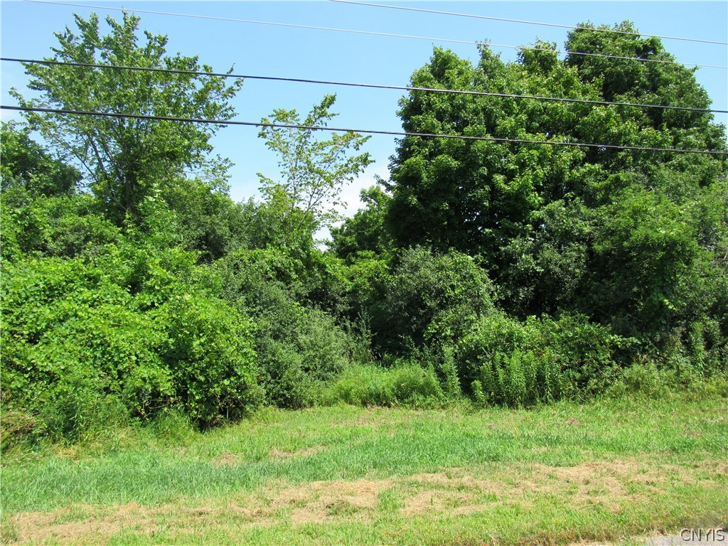 Lot 5 B Adams Road Dexter, NY 13634 - Photo 1 of 1 Gallery Image 1