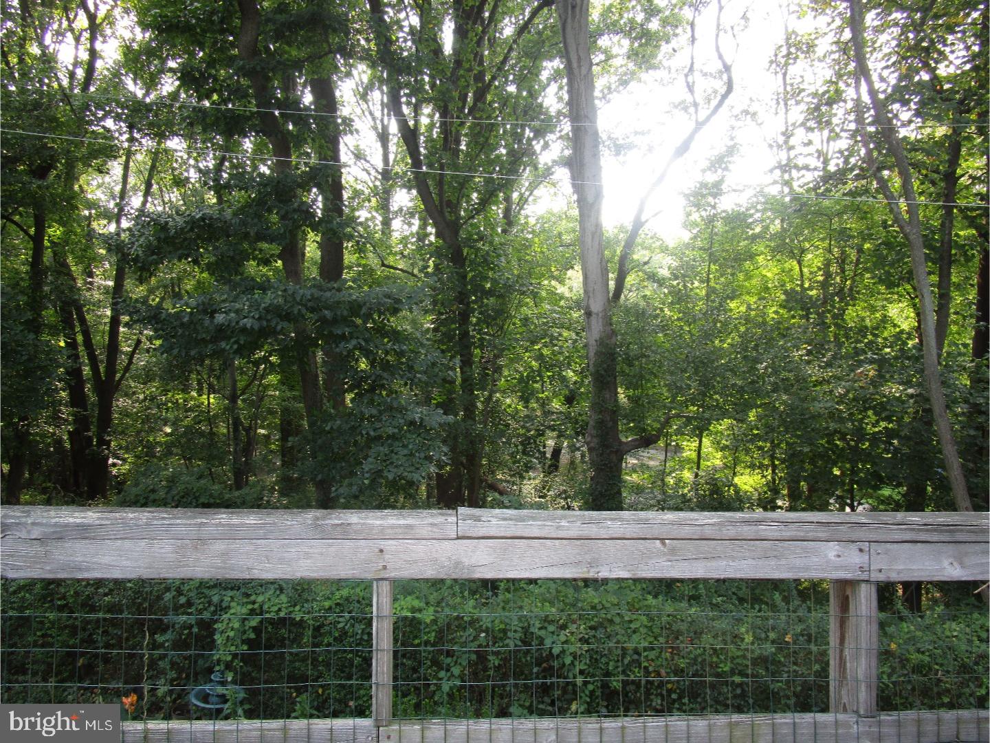101 Ridge Avenue Newark, DE 19711 - Photo 13 of 20 Deck