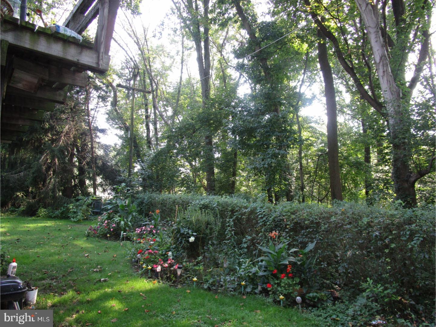 101 Ridge Avenue Newark, DE 19711 - Photo 19 of 20 Back Yard