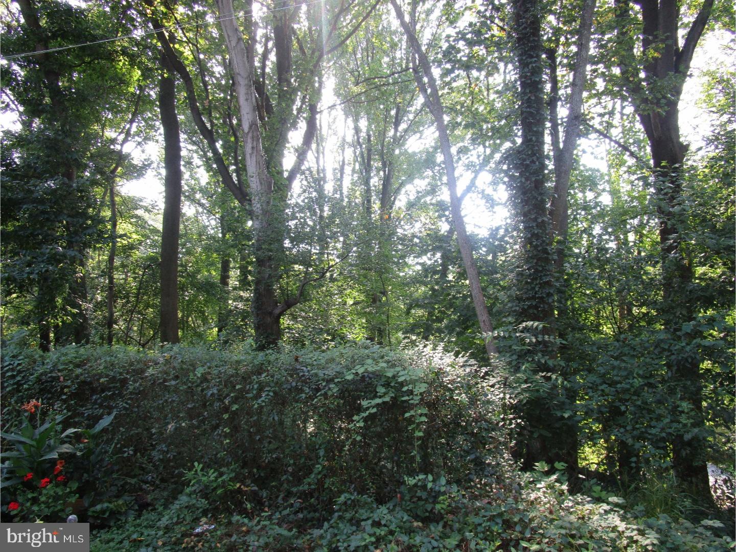 101 Ridge Avenue Newark, DE 19711 - Photo 20 of 20 Back Yard