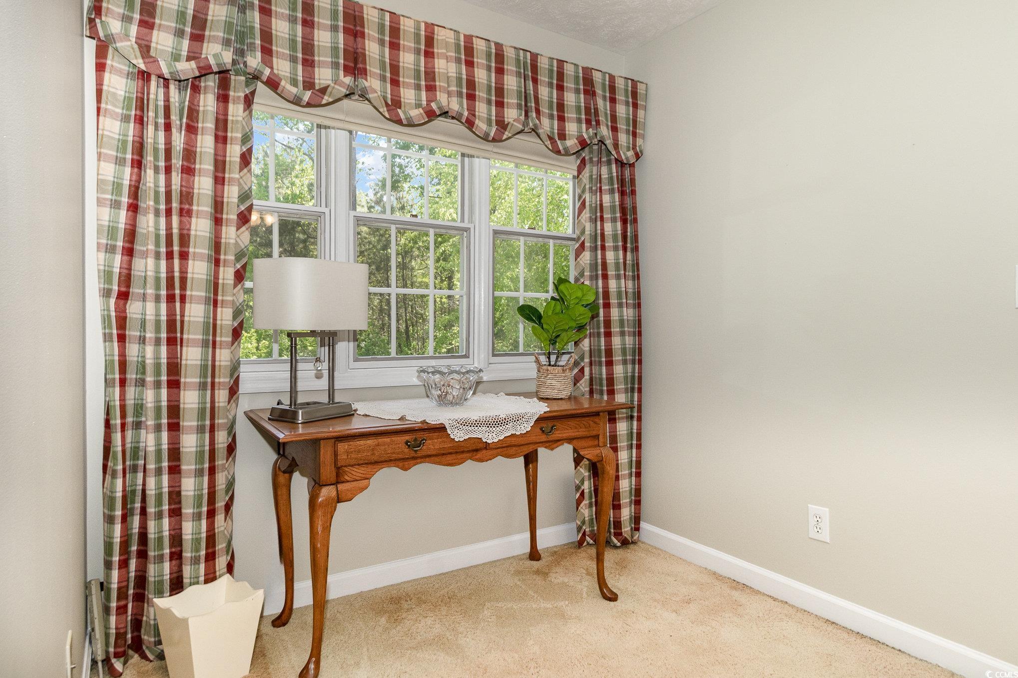 124 Windmeadows Drive Conway, SC 29526 - Photo 25 of 38