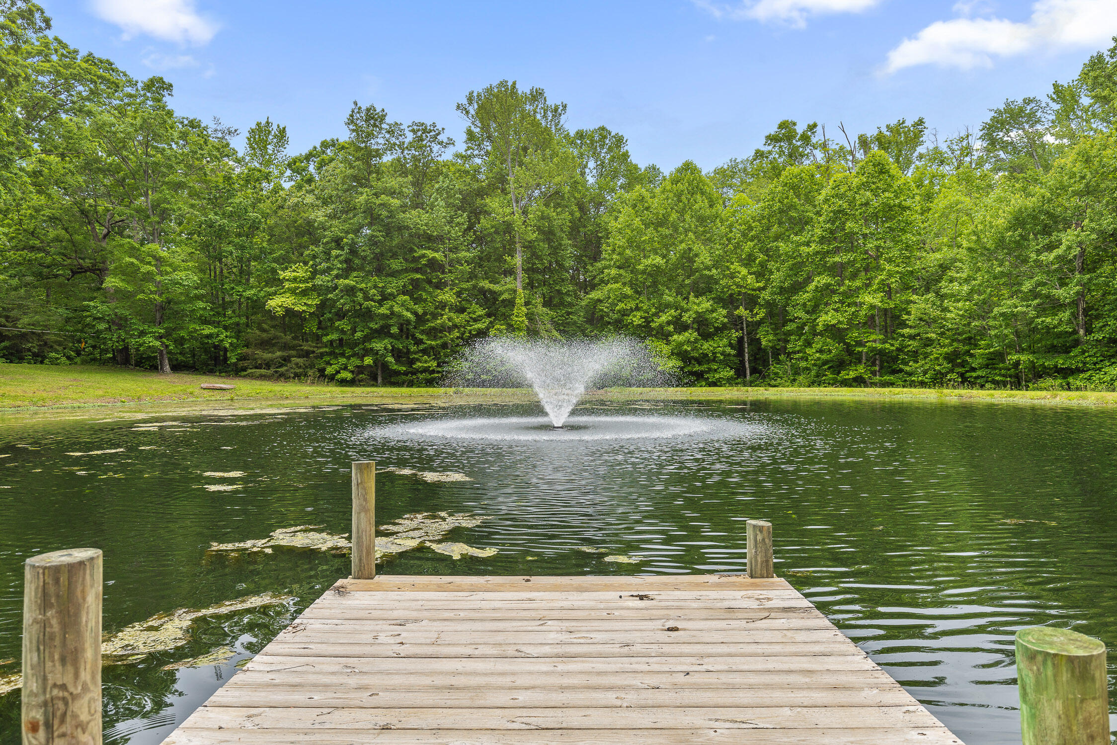 8316 Hixson Springs Road Signal Mountain, TN 37377 - Photo 81 of 94 Hixson (New)-4