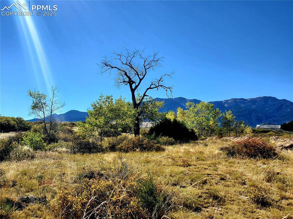650 County Road Rye, CO 81069 - Photo 9 of 27 a view of a garden