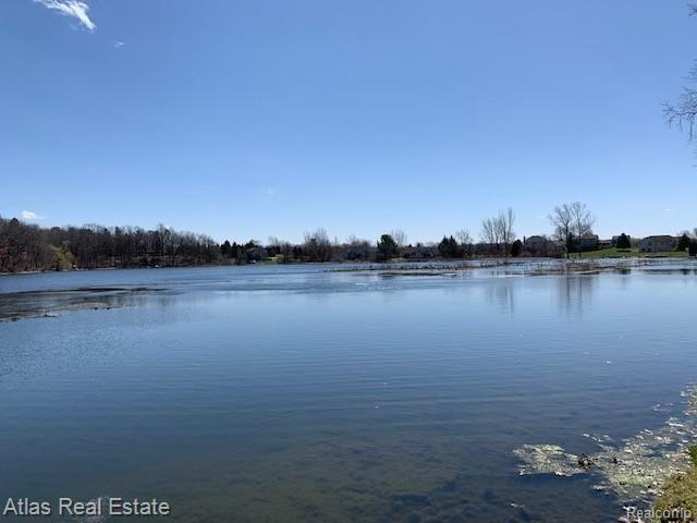 9077 Liscom Road Goodrich, MI 48438 - Photo 5 of 12