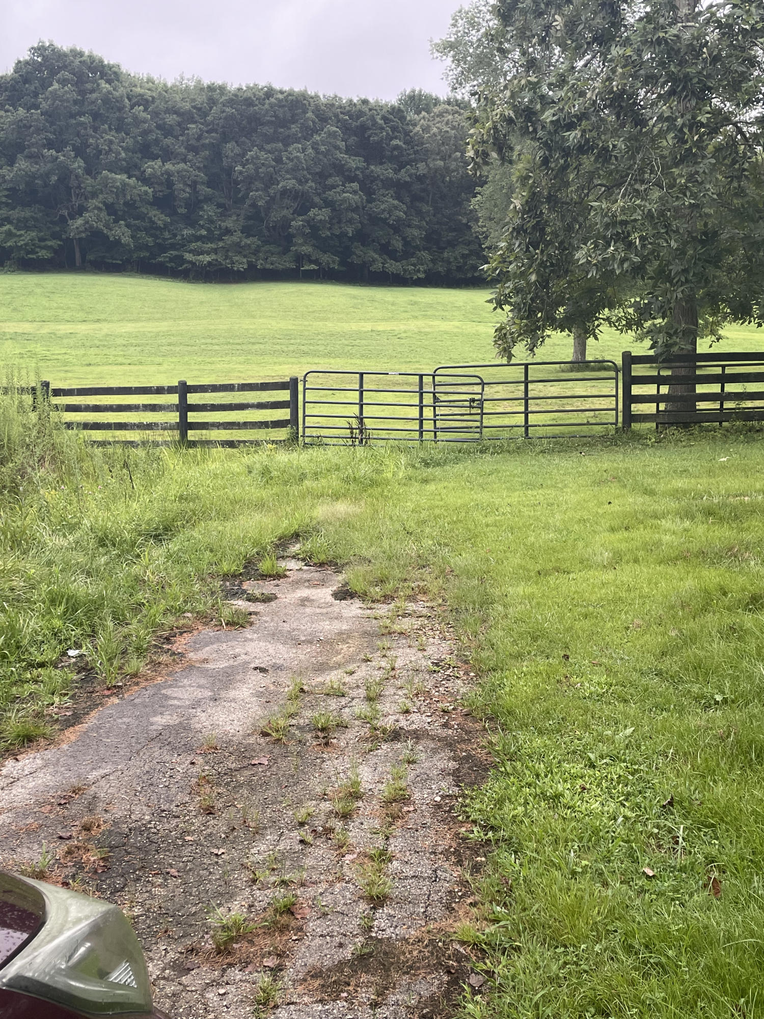 165 Church Road Salt Lick, KY 40371 - Photo 2 of 2 Church St 4
