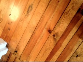 268 Wilbur Dam Road Elizabethton, TN 37643 - Photo 21 of 24 wormy pine floors