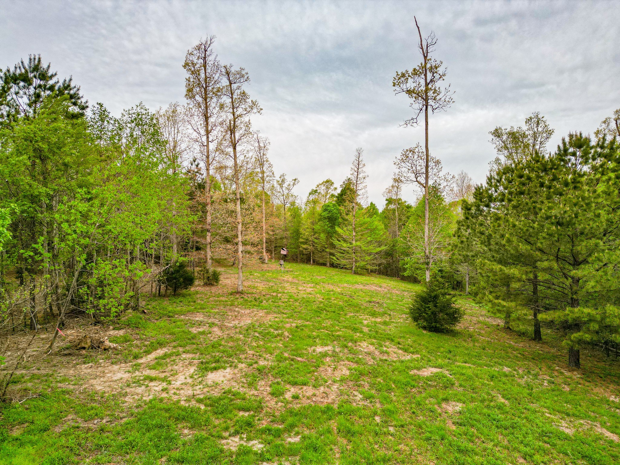 920 Mason Bates Bend Road Centerville, TN 37033 - Photo 59 of 82 Gallery Image 59