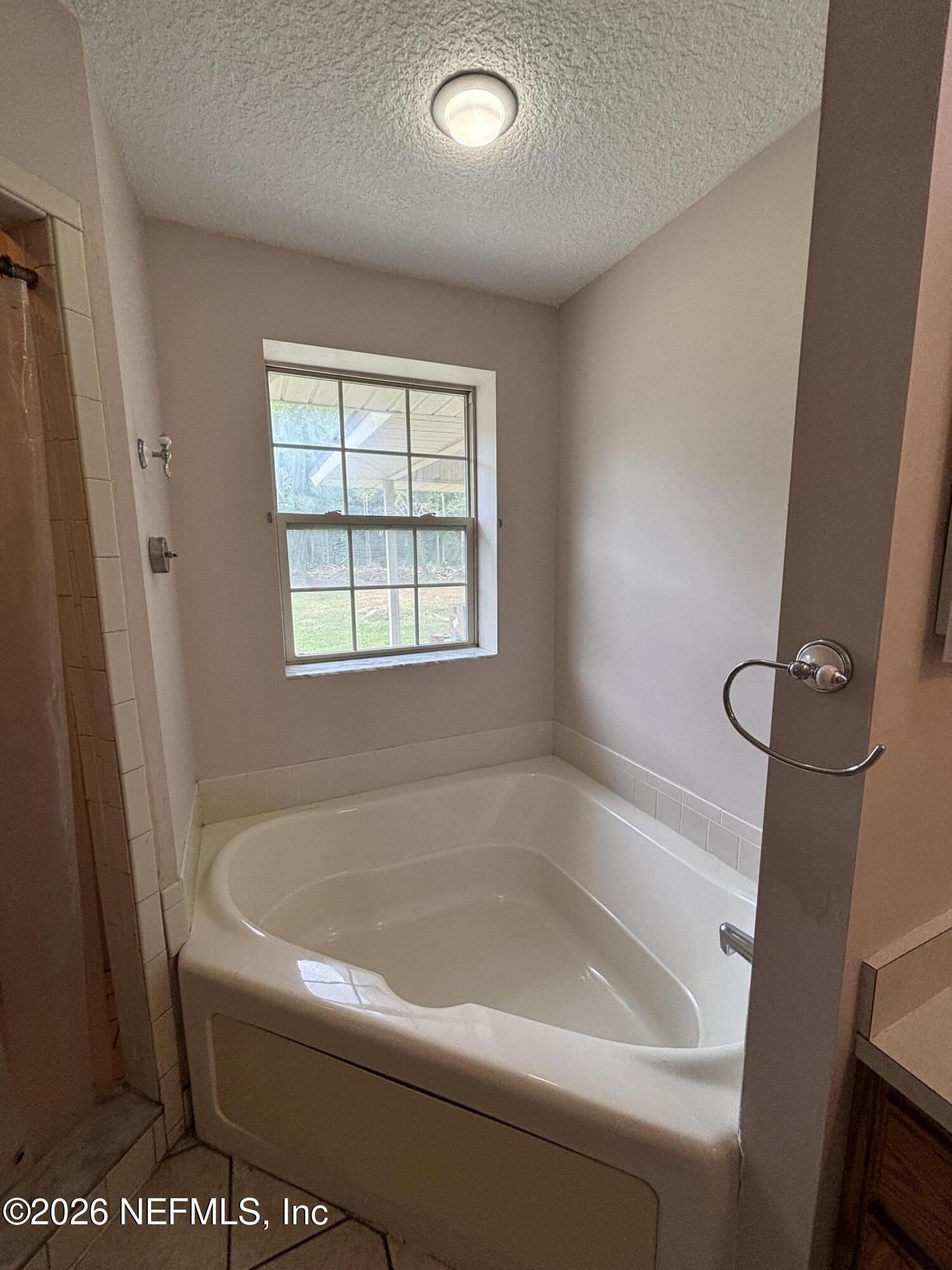 25 Currant Avenue Middleburg, FL 32068 - Photo 18 of 33 primary bathtub