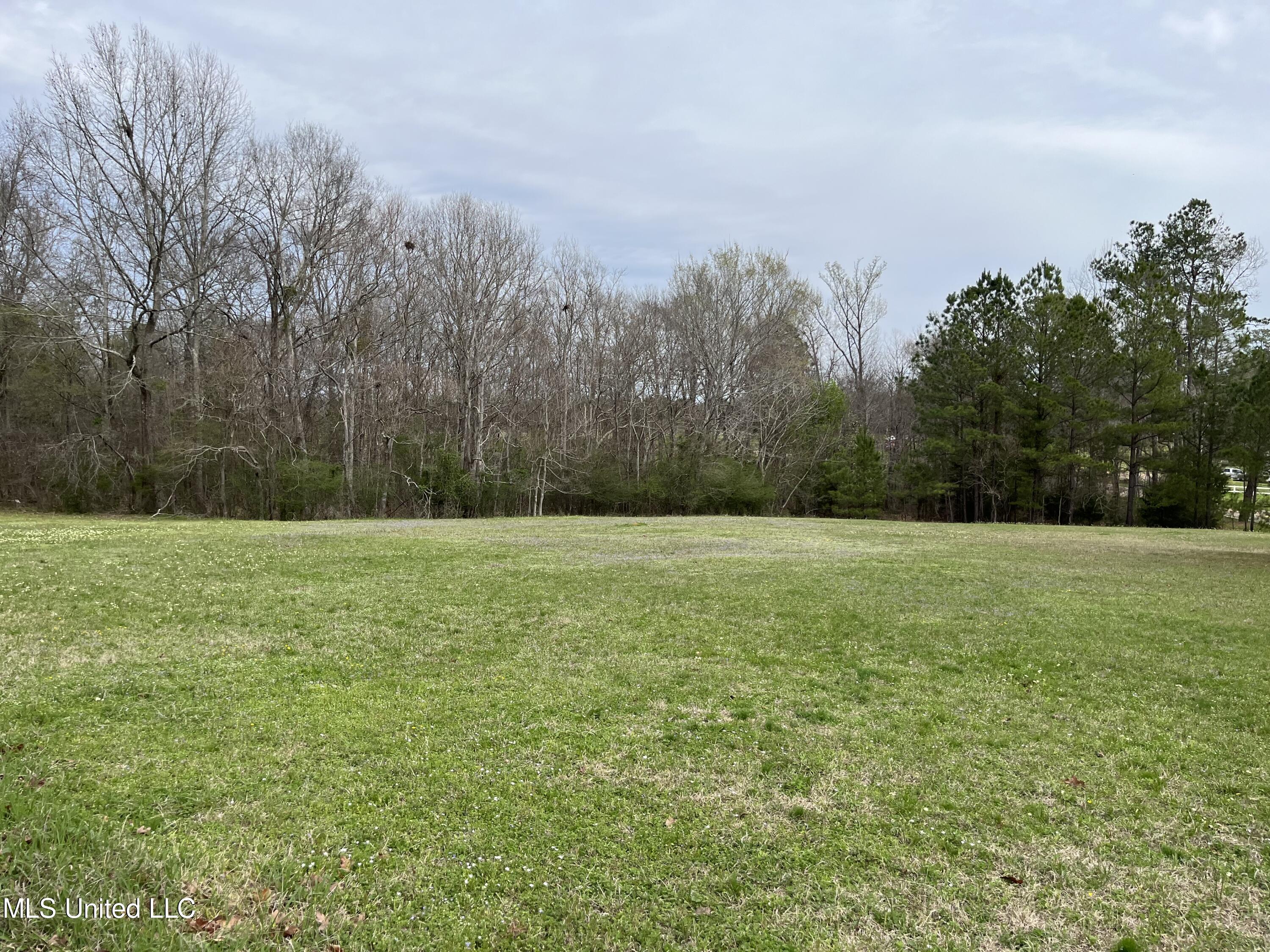 207 Old Whitfield Road Pearl, MS 39208 - Photo 14 of 14 Acreage