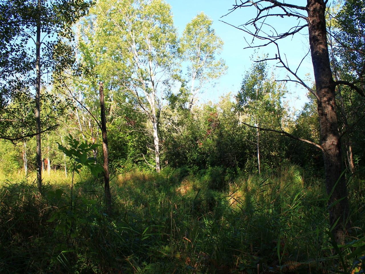 14287 Clement Road Saxon, WI 54559 - Photo 20 of 29 Gallery Image 20