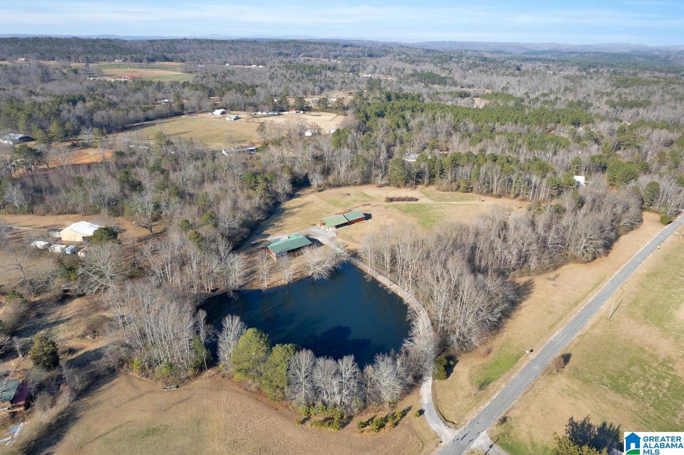 145 Fall Branch Road Remlap, AL 35133 - Photo 38 of 48