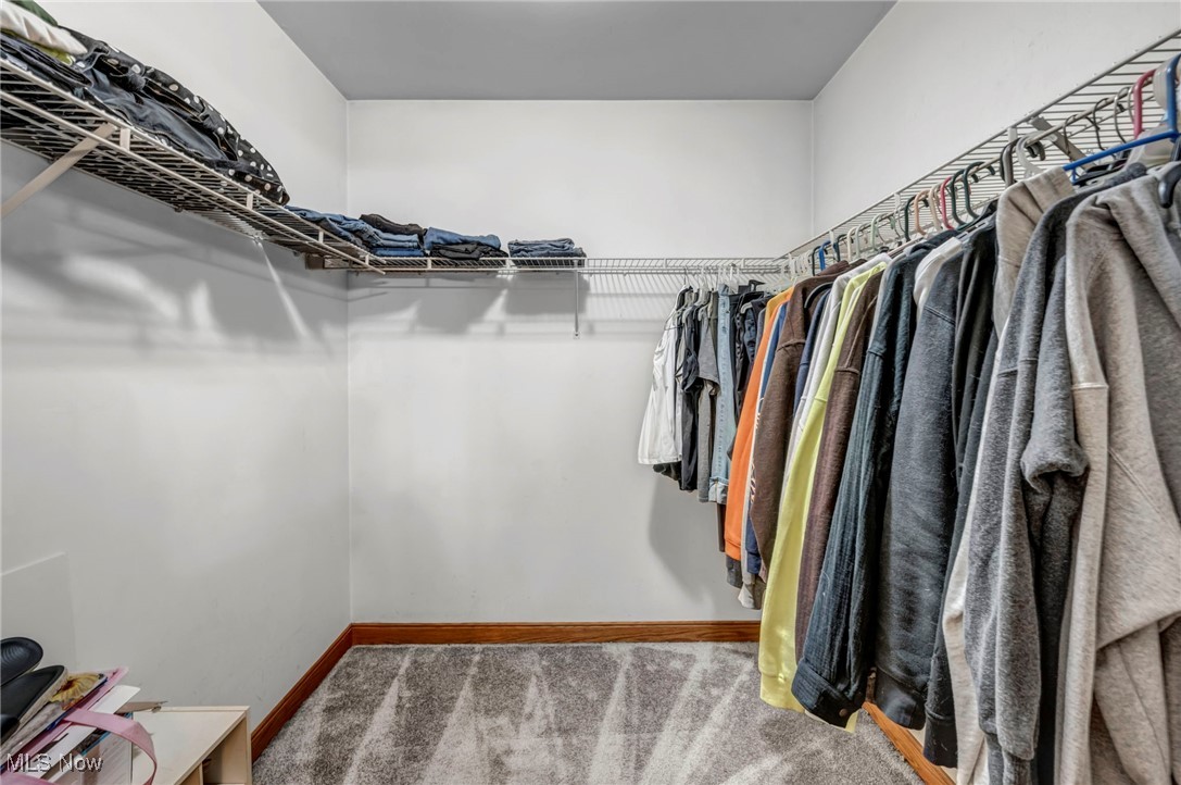 3181 Ridgewood Road Medina, OH 44256 - Photo 34 of 50 Walk in closet featuring carpet floors