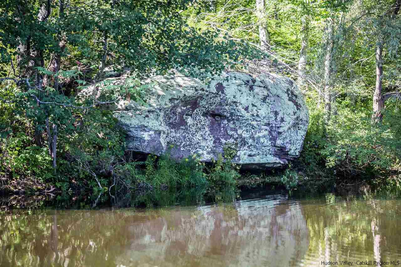 1950 Burroughs Memorial Road Roxbury, NY 12474 - Photo 31 of 35 Photo 31