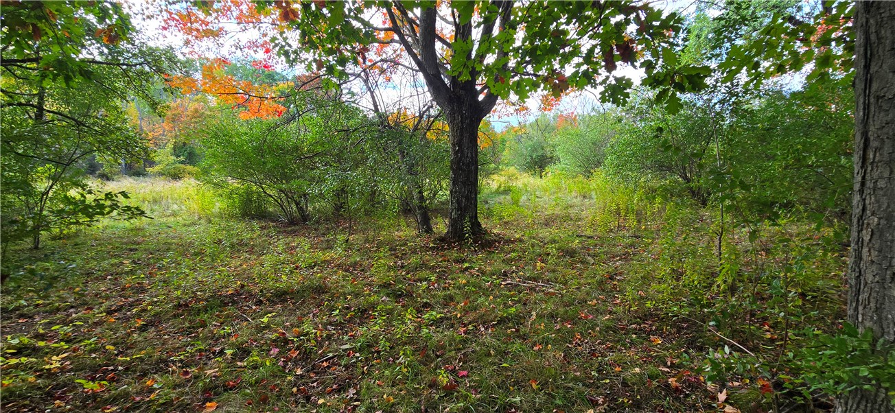 4740 Tucker Road Thurston, NY 14821 - Photo 8 of 46 Gallery Image 8