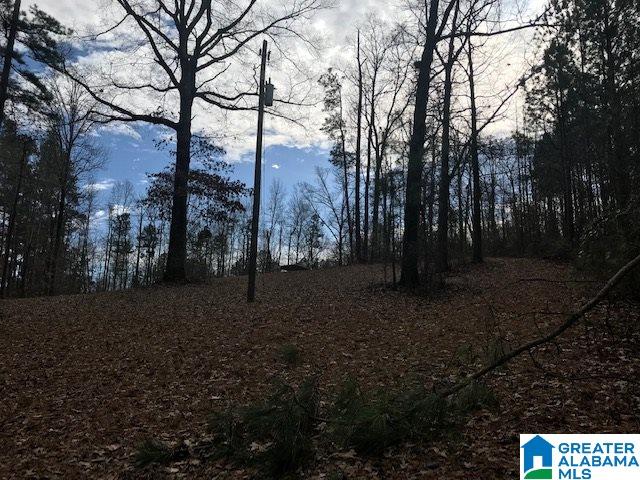 Pleasant Valley Road, Unit 2 92 Gallant, AL 35972 - Photo 7 of 14 Gallery Image 7