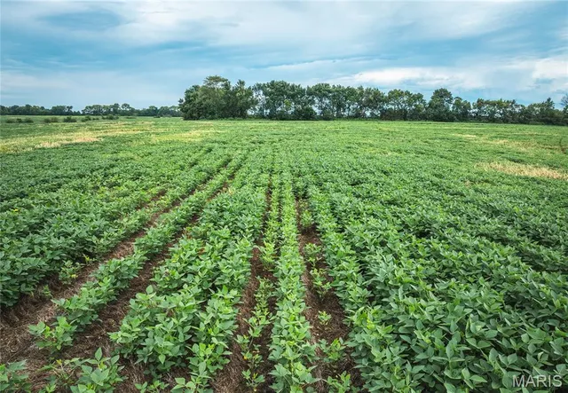 $925,000 | 14395 Hwy F Canton Mo 63435, Canton, MO 63435