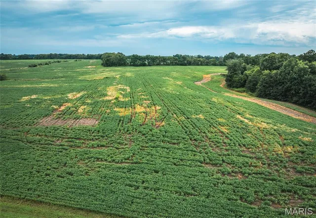 $925,000 | 14395 Hwy F Canton Mo 63435, Canton, MO 63435