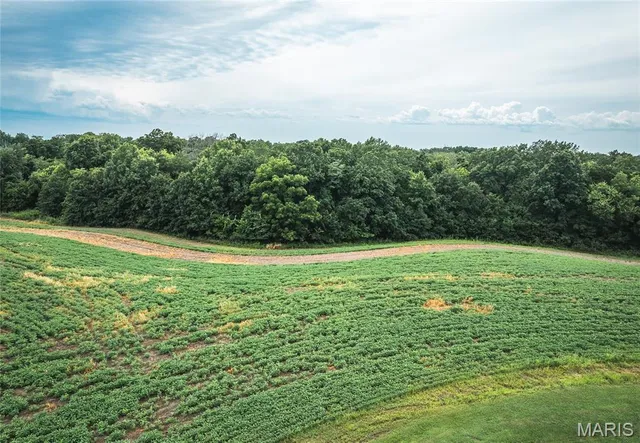 $925,000 | 14395 Hwy F Canton Mo 63435, Canton, MO 63435